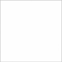 Плитка Lasselsberger-Rako Color One COLOR ONE WAA1N104 198х198х6 білий