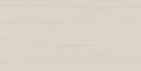 Плитка Lasselsberger-Rako Easy EASY WATMB061 светло-серый