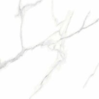 Керамогранит Megagres Carrara GPF6012 CARRARA 600х600х10 белый,светло-серый - Фото 3