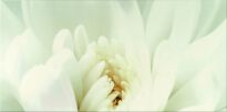 Плитка Opoczno Diago DIAGO BEIGE INSERTO FLOWER C декор білий,жовтий,кремовий - Фото 1