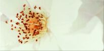 Плитка Opoczno Diago DIAGO BEIGE INSERTO FLOWER A декор білий,жовтий,помаранчевий,кремовий - Фото 1