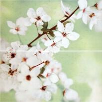 Плитка Opoczno Early Spring EARLY SPRING PANNO FLOWER декор2 белый,зеленый,коричневый