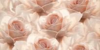 Плитка Opoczno Royal Garden ROYAL GARDEN INSERTO FLOWER декор рожевий,світло-рожевий