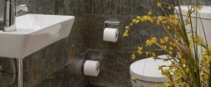 Окремий санвузол: дизайн туалетної кімнати